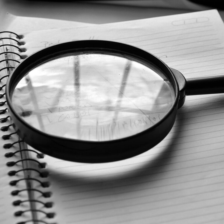 magnifying glass, journal, detail, job, the audit, magnifying glass, magnifying glass, magnifying glass, magnifying glass, magnifying glass